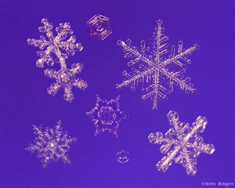 18 Perfect Snowflakes - Snow Addiction - News about Mountains, Ski, Snowboard, Weather & Meteorology