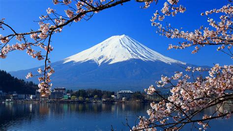 Spring Flower Garden Mount Fuji Lake Kawaguchi Wallpapers - Wallpaper Cave