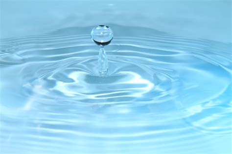 Free Images : water, drop, wave, petal, reflection, macro, blue 5184x3456 - - 1234879 - Free ...