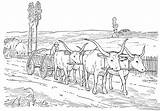 Drawing Of Oxen coloring Page  Download Print Or Color Online For Free sketch template