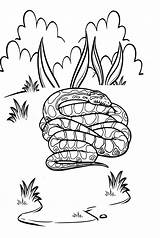 20  Python Coloring Pages Free Printable PDF & Online sketch template