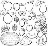 Obst Colorir Ausmalbilder Coloriage Fruta Cool2bkids Imprimir Sketch  sketch template