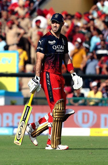 Mohali : RCB batsman Glenn Maxwell walks back after his dismissal