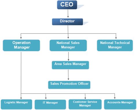 Ceo Hierarchy Chart Learn Diagram - Bank2home.com