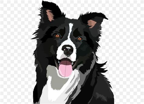 border collie clipart - Clip Art Library