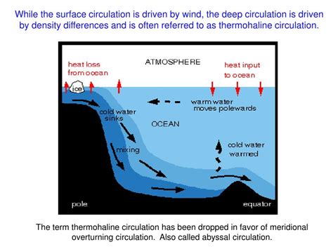 PPT - Thermohaline Circulation PowerPoint Presentation, free download ...