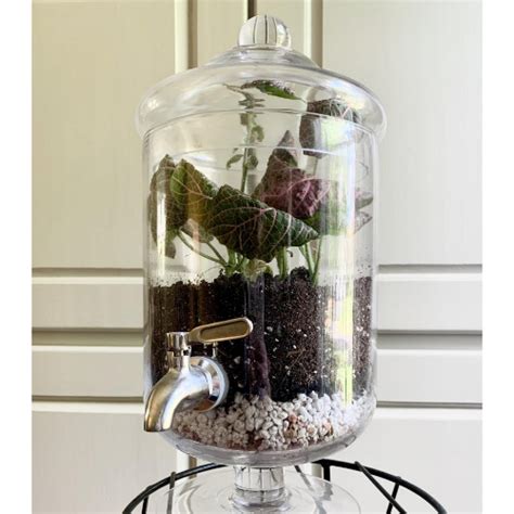 DIY Closed Terrarium, Layer by Layer | Sprouts and Stems