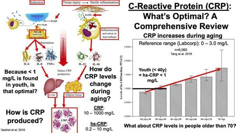 C-Reactive Protein: What’s Optimal? A Comprehensive Review