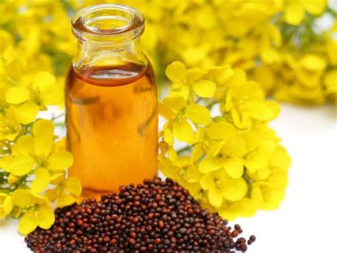 Mustard Oil: 10 Health Benefits of Mustard Oil