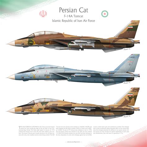 F-14A Tomcat IRIAF -Persian Cat- by 0viking0 on DeviantArt