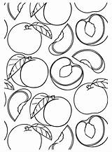Más De 40 Páginas Para Colorear melocotones Imprimibles Gratis En  sketch template