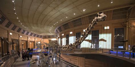 Visit the Cincinnati Museum Center on the Ohio Valley Fossil Trail