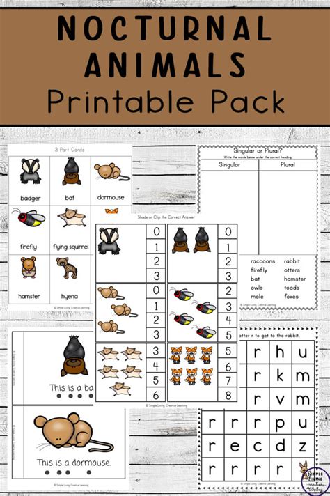 Nocturnal Animals Printable Pack - Simple Living. Creative Learning