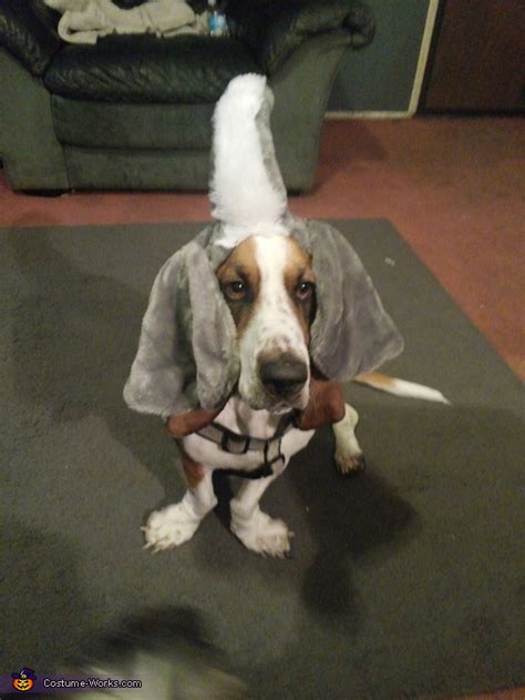 Elephant Costume for Dogs