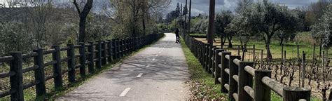 Viseu Cycling: Ecopista do Dão, Viseu, Portugal - Map, Guide | AllTrails