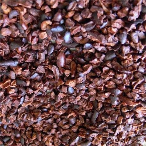 Raw Cocoa Nibs at Best Price in Coimbatore - Manufacturer,Supplier,Tamil Nadu