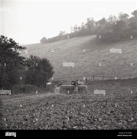 Farming in the 1950s, a farmer riding on the back of ploughing equipment being pulled by a ...