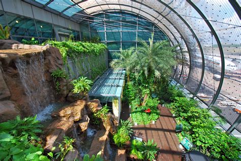 Singapore Changi Airport - Butterfly Garden Airport Architecture, Green ...