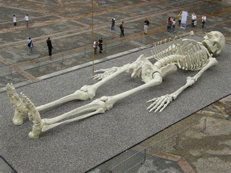 8 OCCASIONS WHEN GIANT HUMAN SKELETONS WERE FOUND -ARE THESE ALIENS' SKELETONS? | Giant skeleton ...