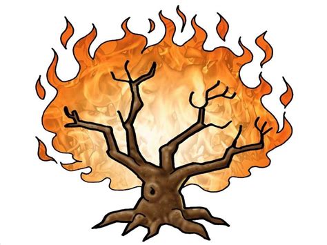 Burning bush. – Slide 2 | Bible stories, Bible overview, Bible art ...