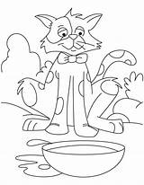 Cat Spill The milk coloring Page sketch template