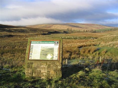 Whitelee Moor National Nature Reserve © Walter Baxter :: Geograph ...