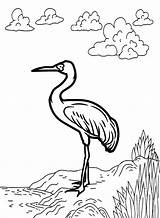 Crane Siberian Designlooter Printablecolouringpages Sketch Coloring Page sketch template