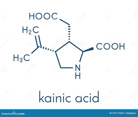 Kainic Acid Molecule. Direct Agonist Of The Glutamic Kainate Receptors. Skeletal Formula. Vector ...