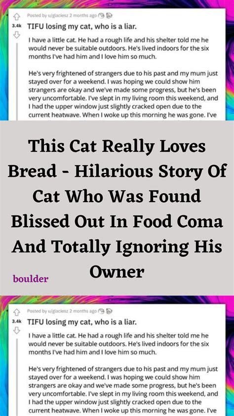 This cat really loves bread hilarious story of cat who was found blissed out in food coma and ...