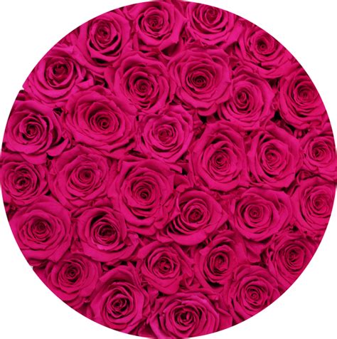 ETERNITY Roses Box – The Brilliant Roses