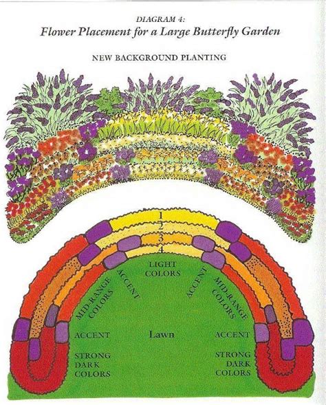 Layout for large butterfly gardens. Planting not only nectar plants but host plants for the ...