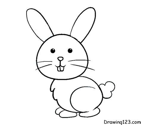 How To Draw A Cartoon Bunny