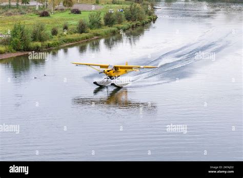 Yellow bush float plane landing on the Chena River in Alaska Stock ...