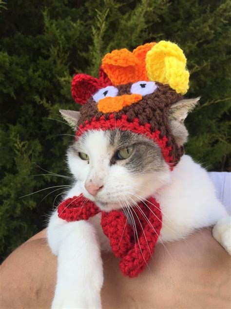 Free Cat Hat Crochet Patterns