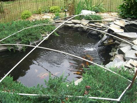 Tips for Building Ponds in Your Backyard | Diy pond, Ponds backyard ...