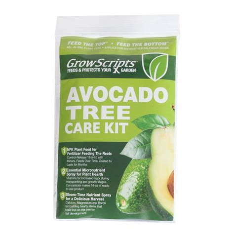 Avocado Tree Care Kit | Fast-Growing-Trees.com – FastGrowingTrees.com