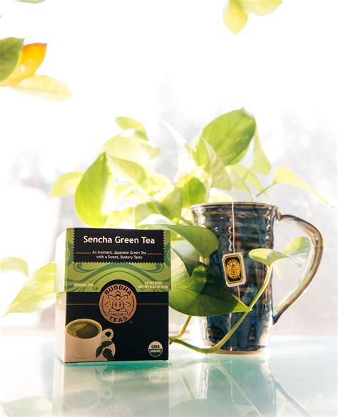 Organic Green Tea 101 — Benefits And Best Brands To Try