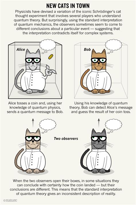 Revised Schrödinger's cat experiment challenges reality | Schrödinger's ...