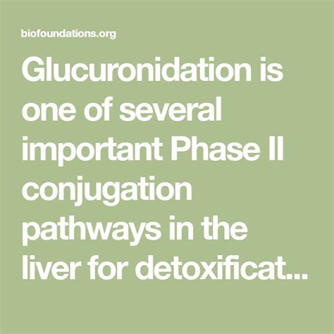 Glucuronidation is one of several important Phase II conjugation ...