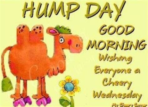 Wednesday Hump Day Images