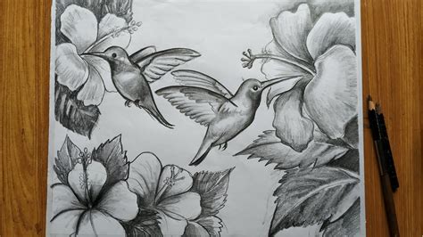 Drawings Of Flowers And Birds