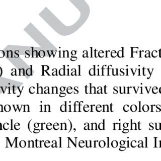 DTI-based tractography of middle and superior cerebellar peduncles. 3D ...