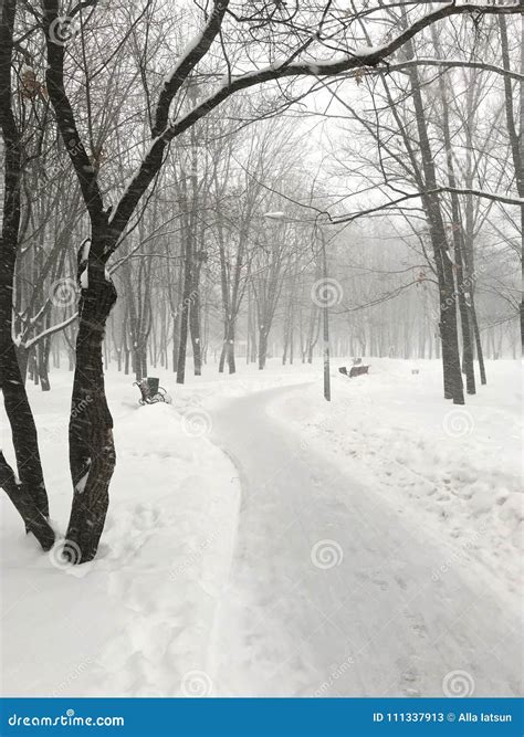 A Path in a Snow-covered Winter Park Stock Image - Image of lantern ...