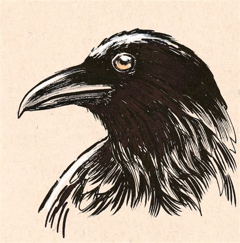 Premium Photo | Crow head bird. ink drawing