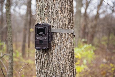 Best Cellular and Wireless Trail Camera Reviews 2017 - Game Camera