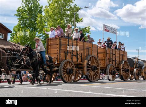 The Mule Days Parade is a staple of the Mule Days celebration in Bishop ...