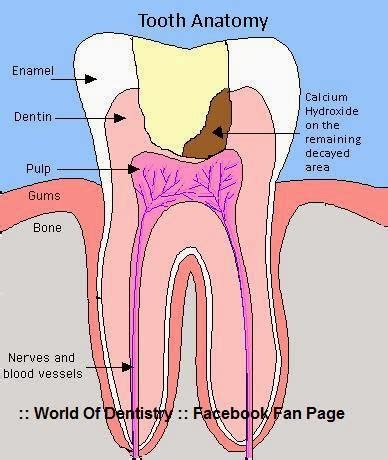 :: World Of Dentistry ::: October 2012