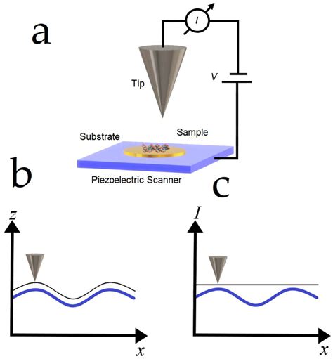 Scanning Tunneling Microscope Magnification