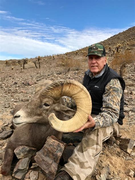 Arizona Desert Bighorn Sheep Hunting – Arizona Desert Outfitters