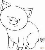 Cute Pig coloring Page  Free Printable Coloring Pages sketch template